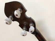 Load image into Gallery viewer, Gold Tone - Tenor Special Banjo With Case