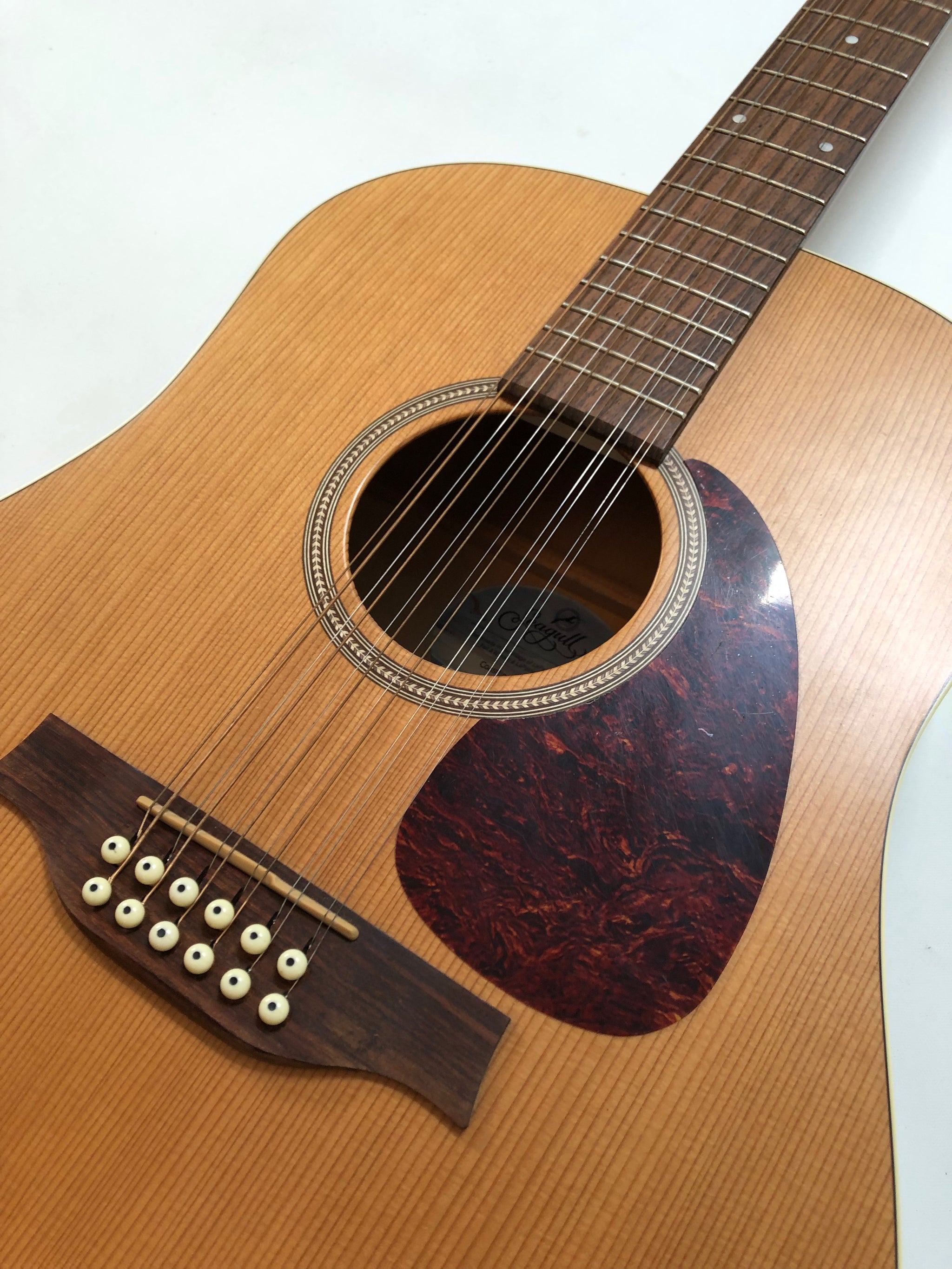 Seagull 12 String – Marrs Audio